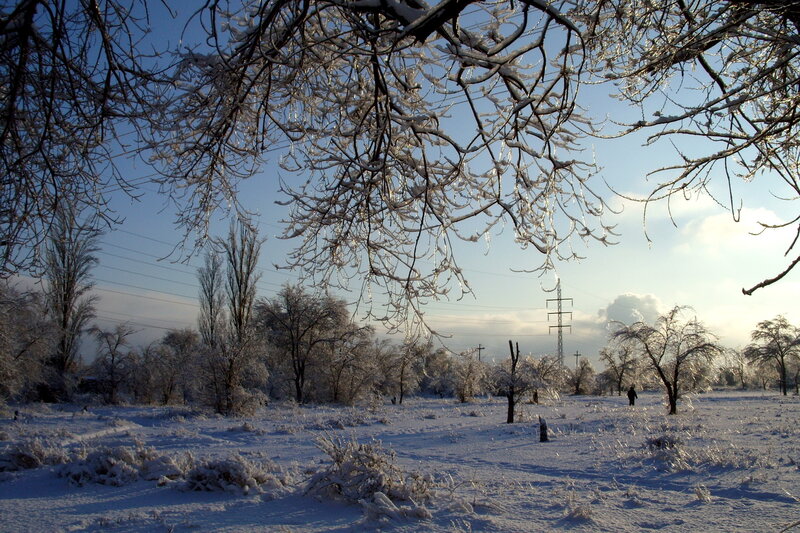 Person in Snowy Field