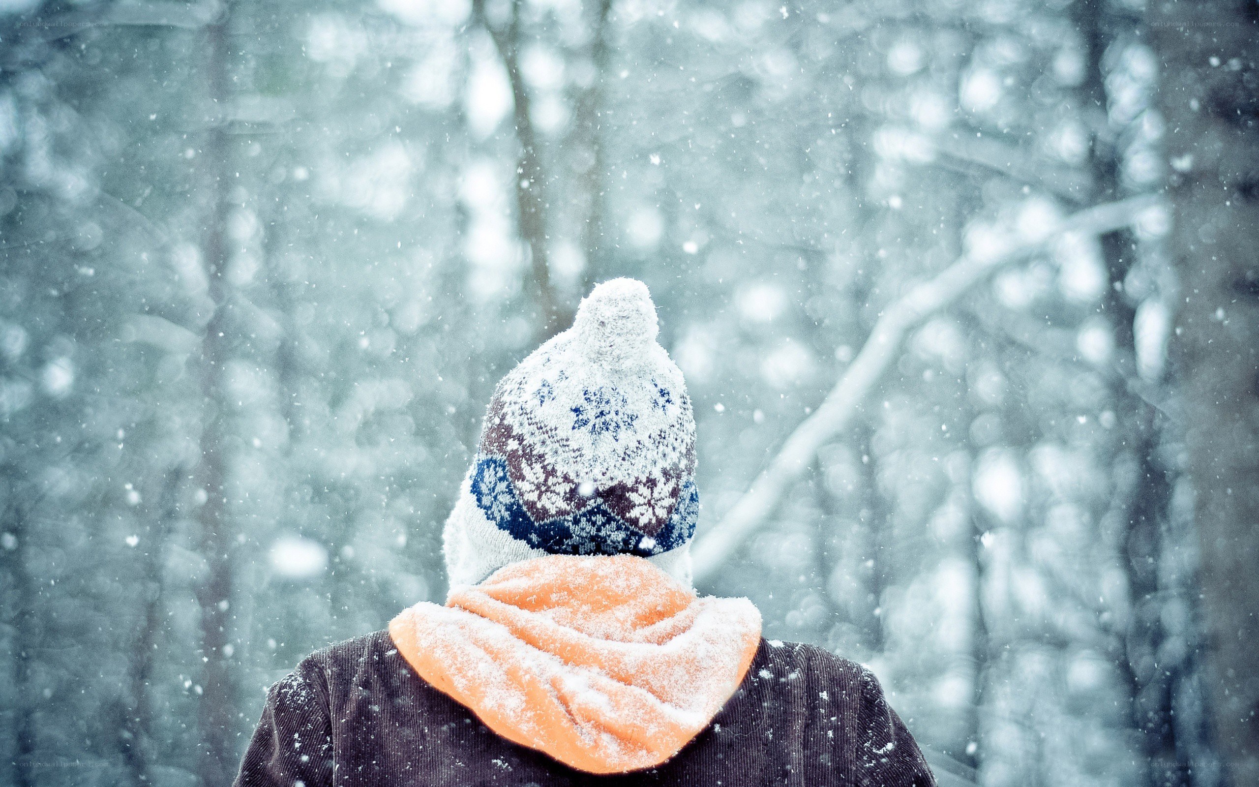 person in snowy forest