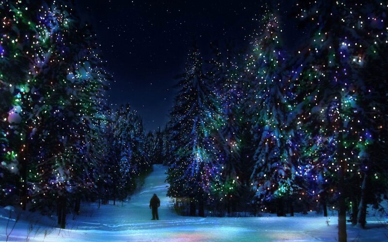 person in snowy forest at night
