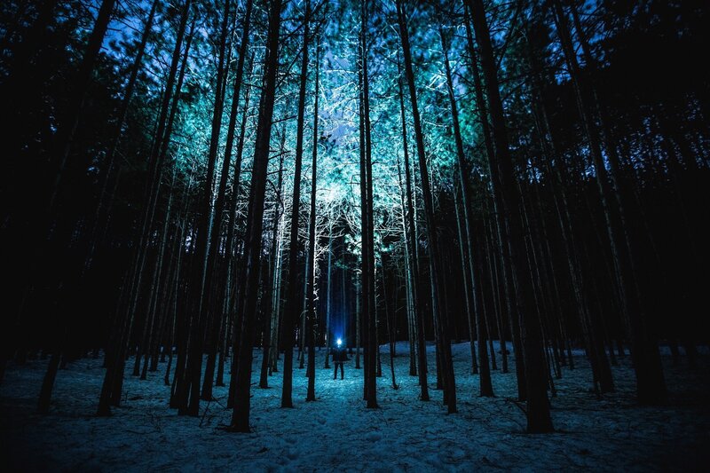 Person in Snowy Forest — Blue