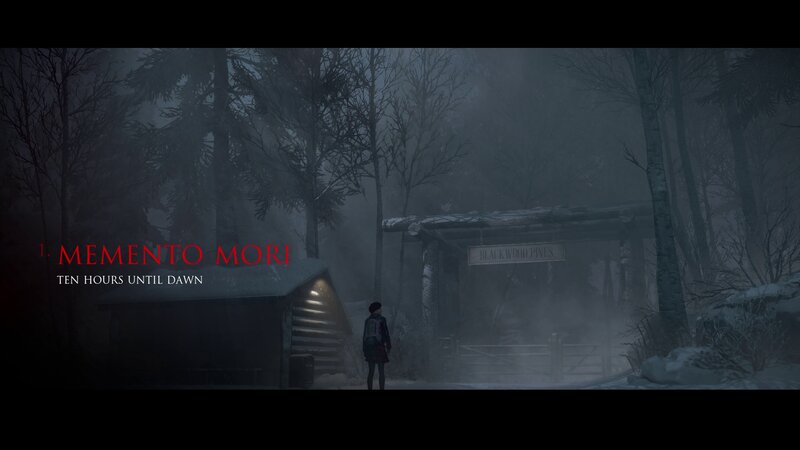 Person in Snowy Forest — Gray
