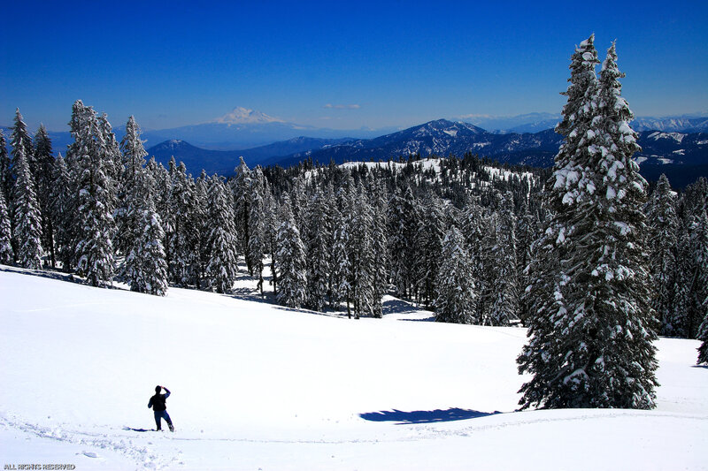 Person in Snowy Landscape — White, Serene