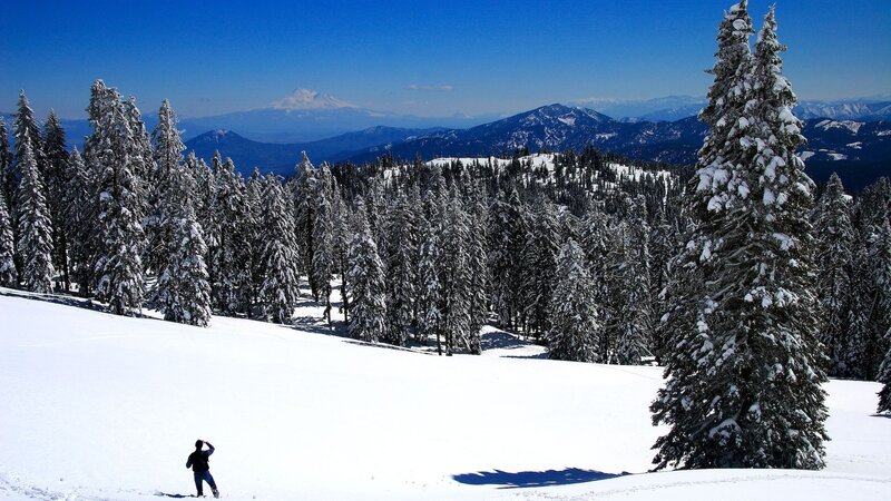Person in Snowy Landscape — White, Serene, Winter