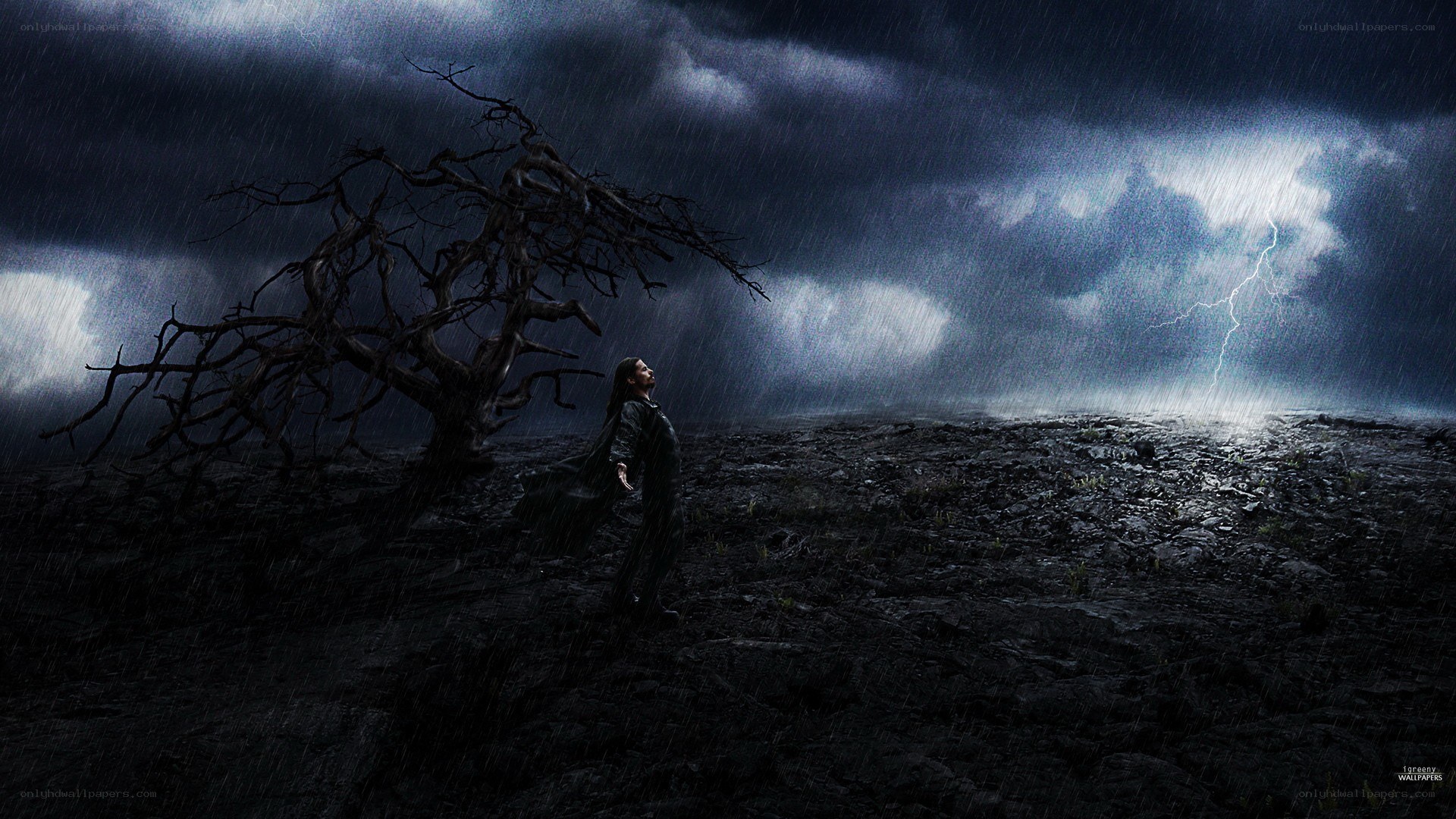 person in stormy landscape