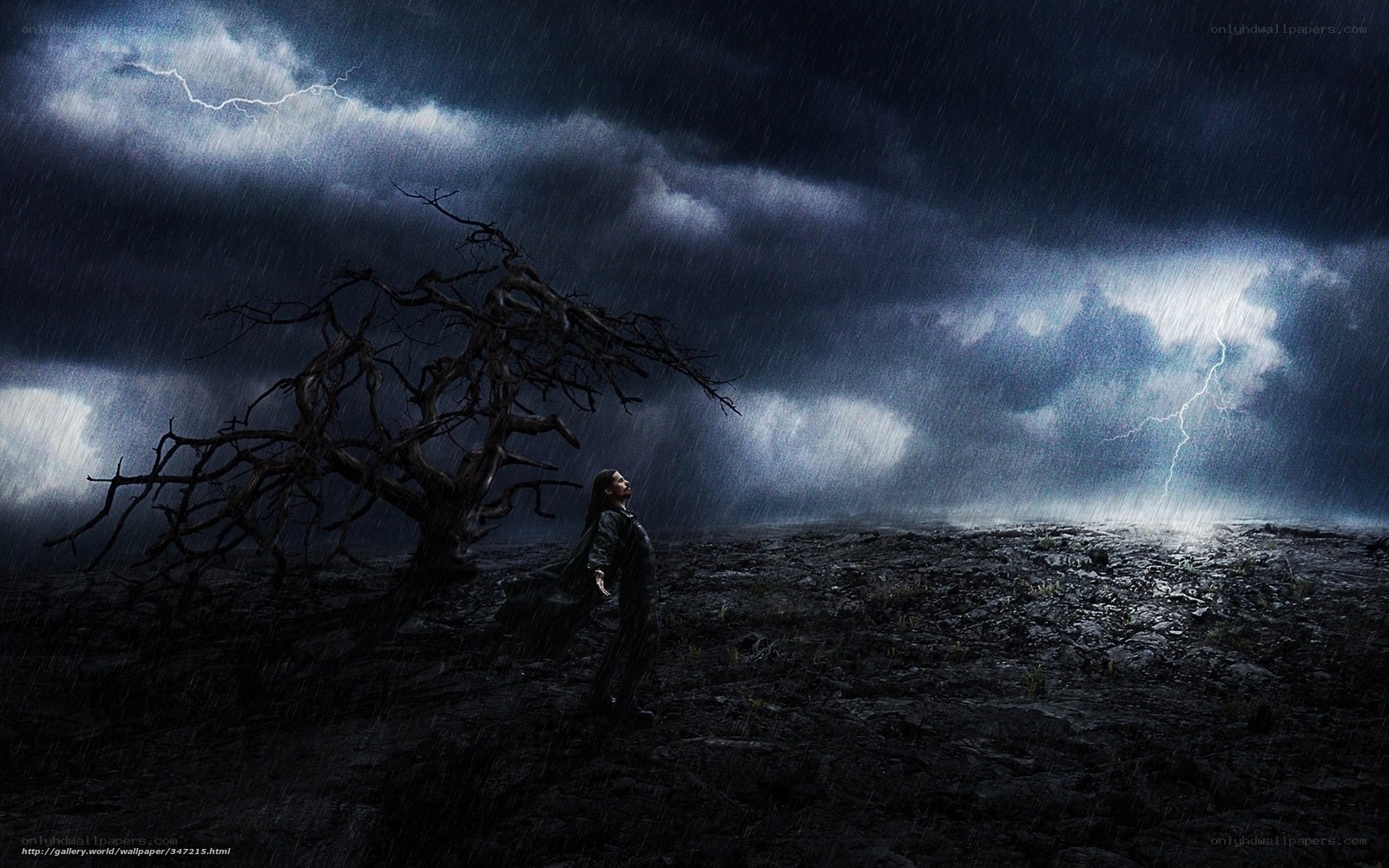 person in stormy landscape