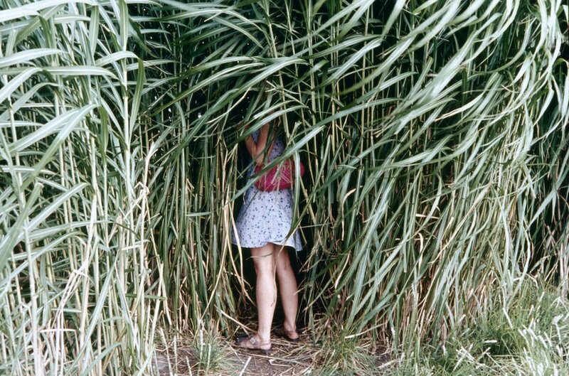 Person in Tall Grass — Green