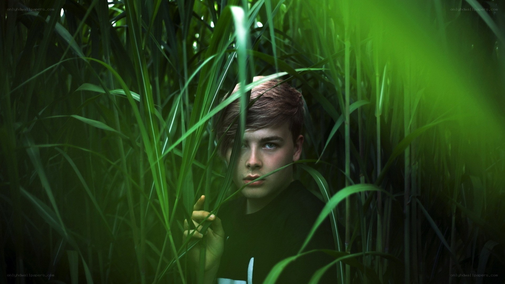 person in tall grass