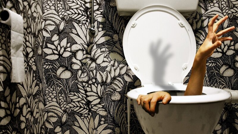 Person in toilet with hand raised