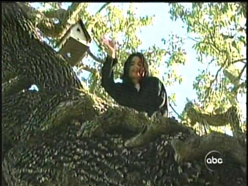 Person in Tree