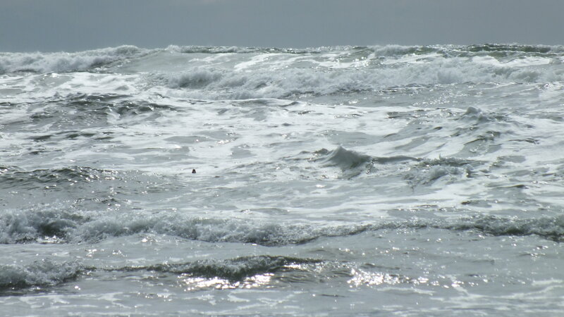 Person in Turbulent Ocean
