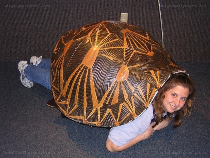 person in turtle costume