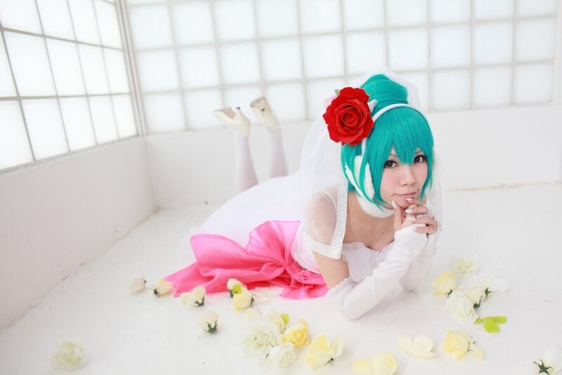 Person in Wedding Costume — White, Serene, Photograph, Rose