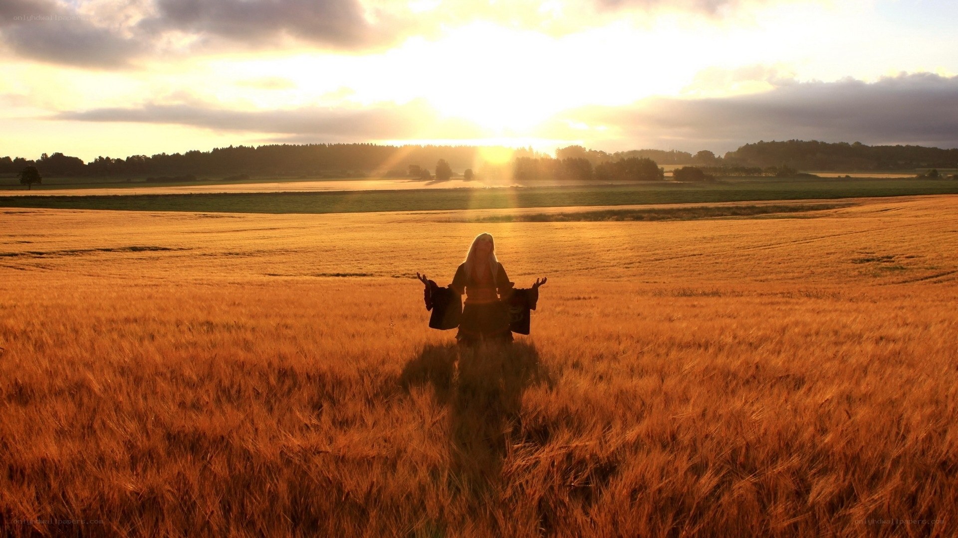 person in wheat field at sunset