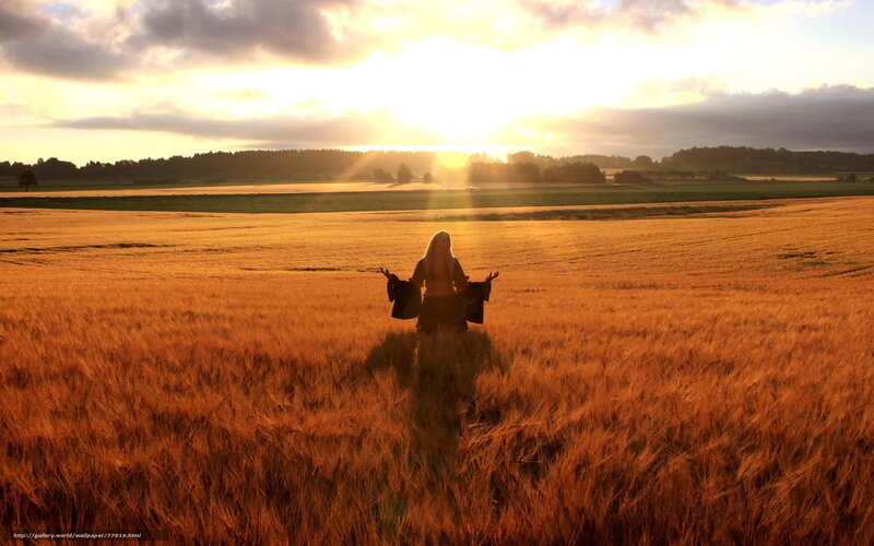 Person in wheat field at sunset