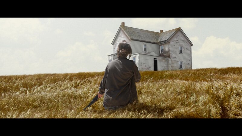 Person in Wheat Field — Brown