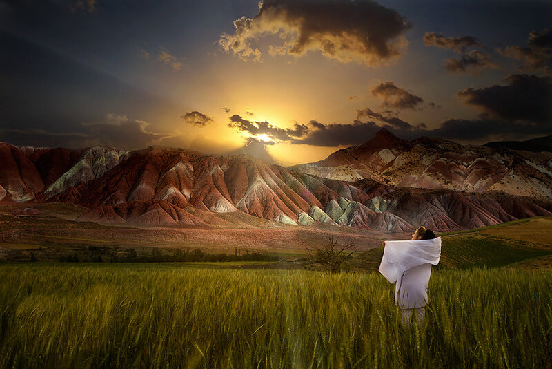 Person in Wheat Field — Green, Dramatic