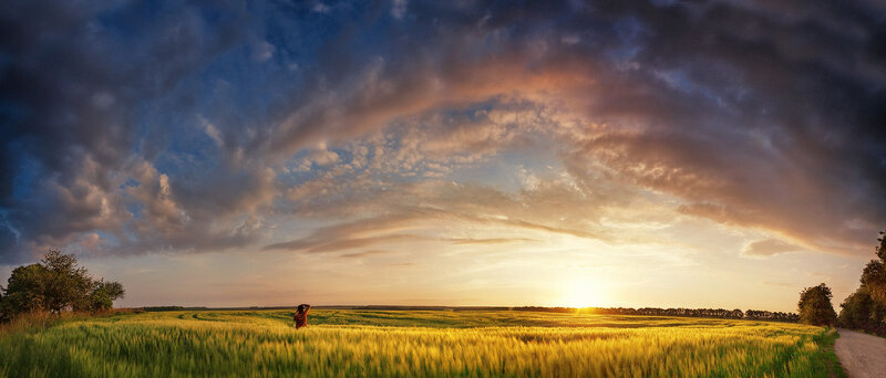 Person in Wheat Field — Yellow, Dramatic