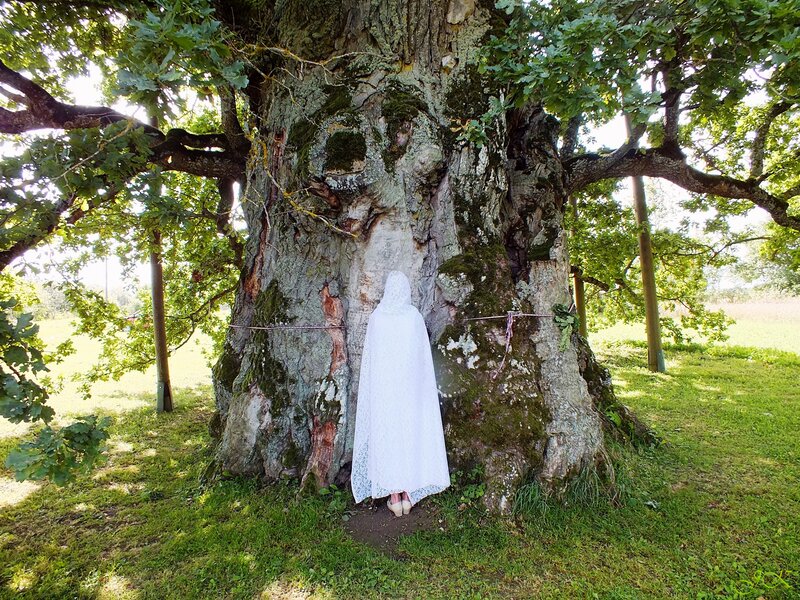 Person in White Cloak — Green, Serene