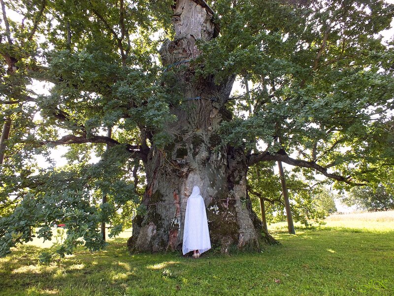 Person in White Cloak — Green