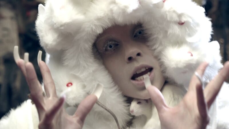 Person in White Fur Costume