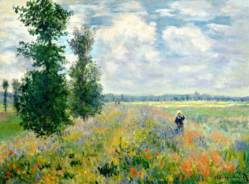 Person in Wildflower Field