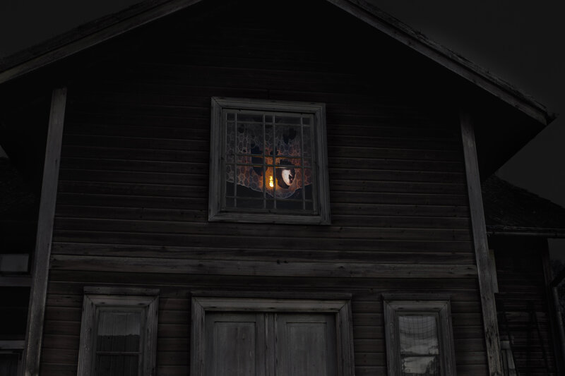 Person in Window at Night