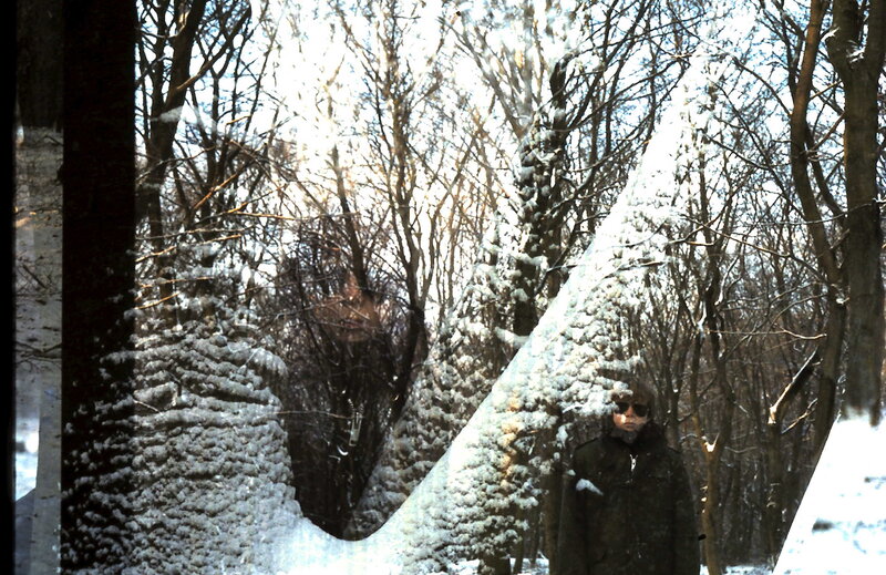 Person in Winter Forest