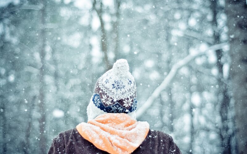 Person in Winter Forest — White, Cold