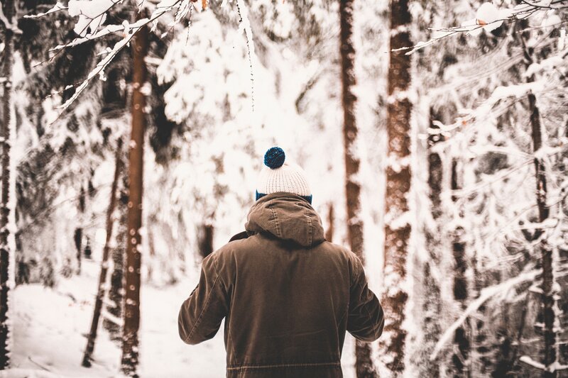 Person in Winter Forest — White, Serene