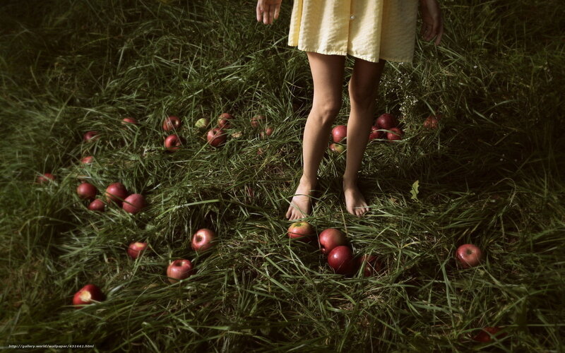person in yellow dress with apples