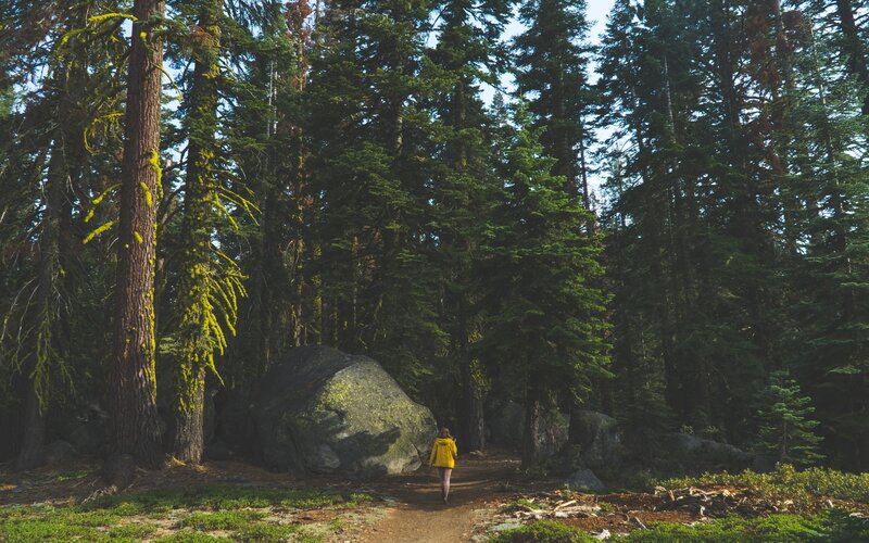 Person in Yellow Jacket — Green, Serene