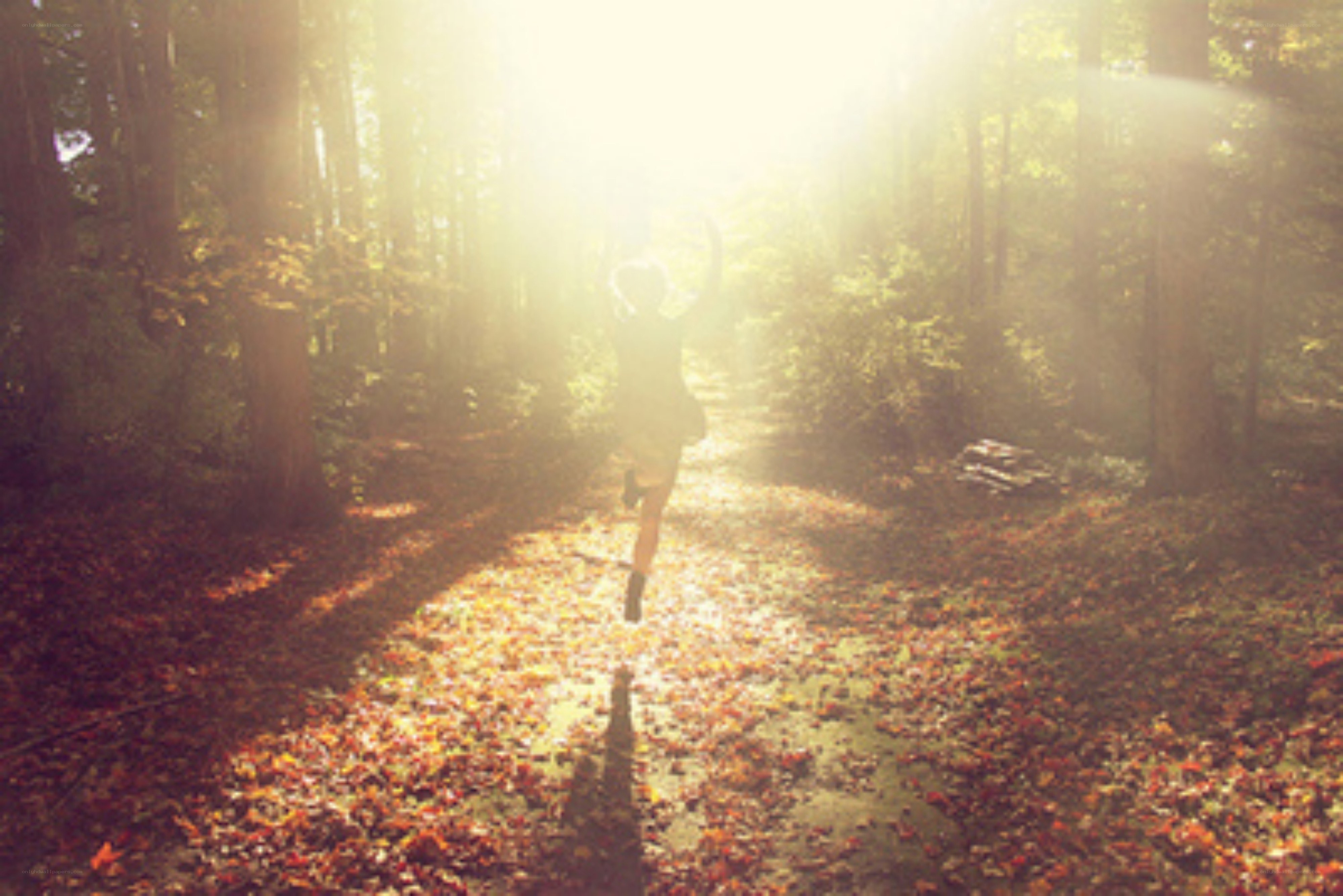 Person jumping in autumn forest