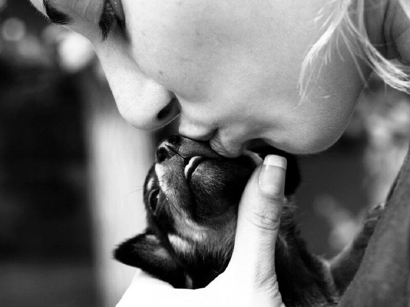 Person Kissing Dog