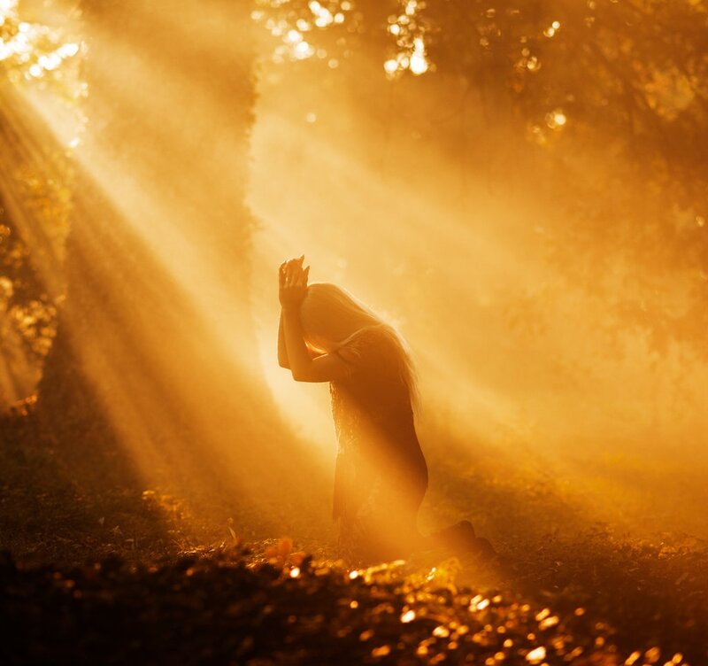 Person Kneeling in Forest — Gold