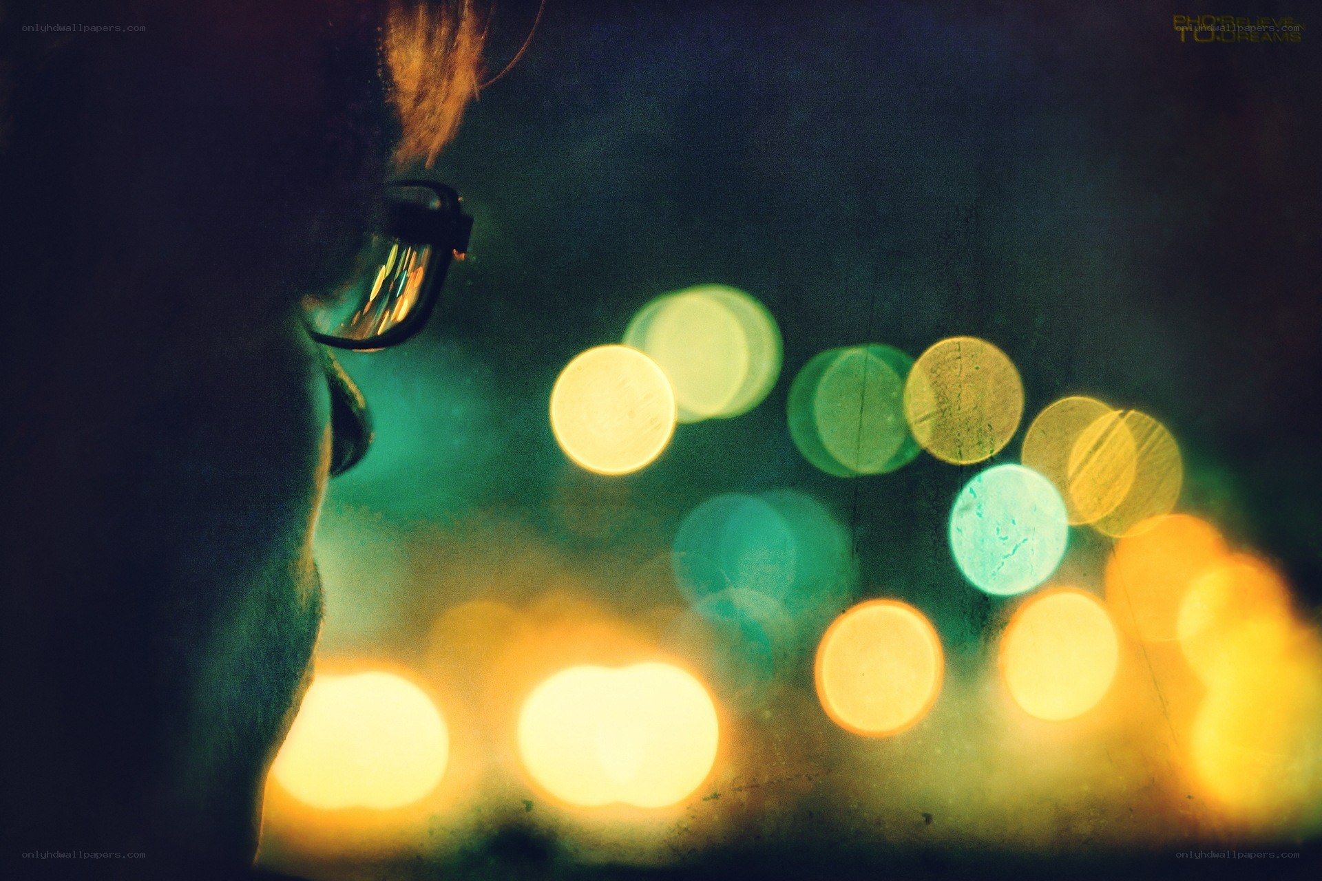 person looking at city lights