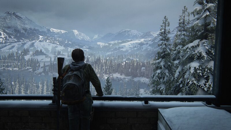 Person Looking at Snowy Mountains