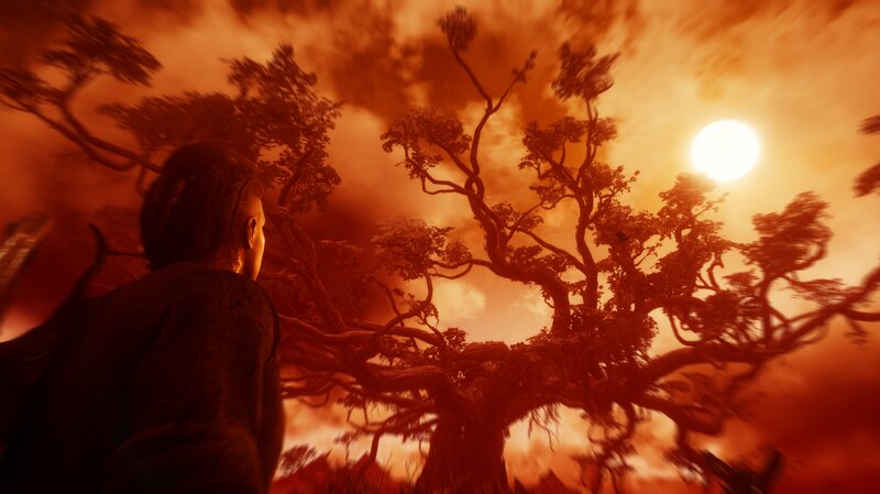Person Looking at Tree