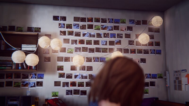 Person Looking at Wall Photos