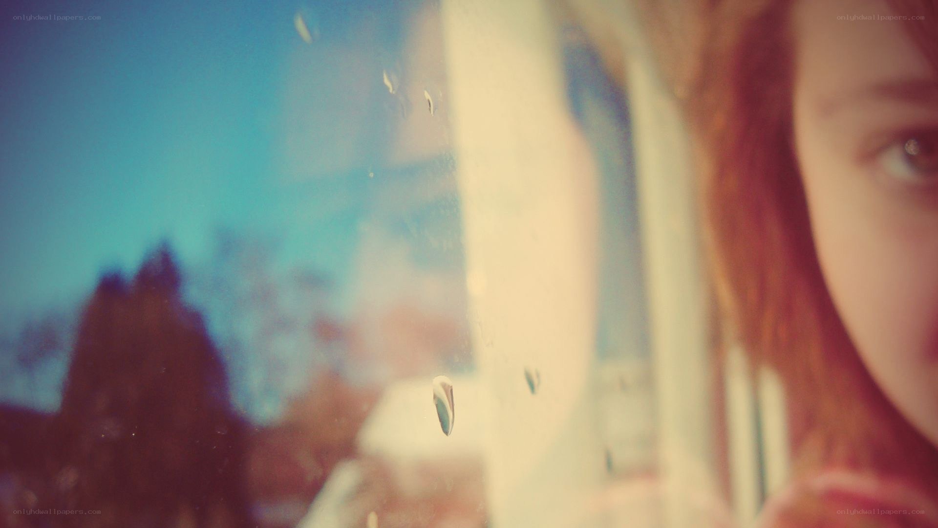 person looking through a window