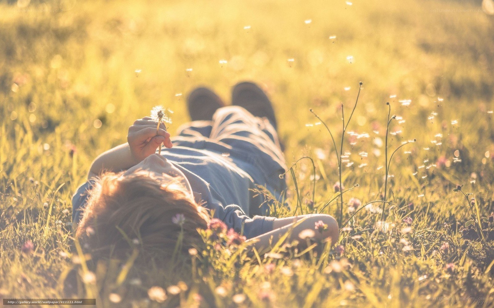 person lying in a field
