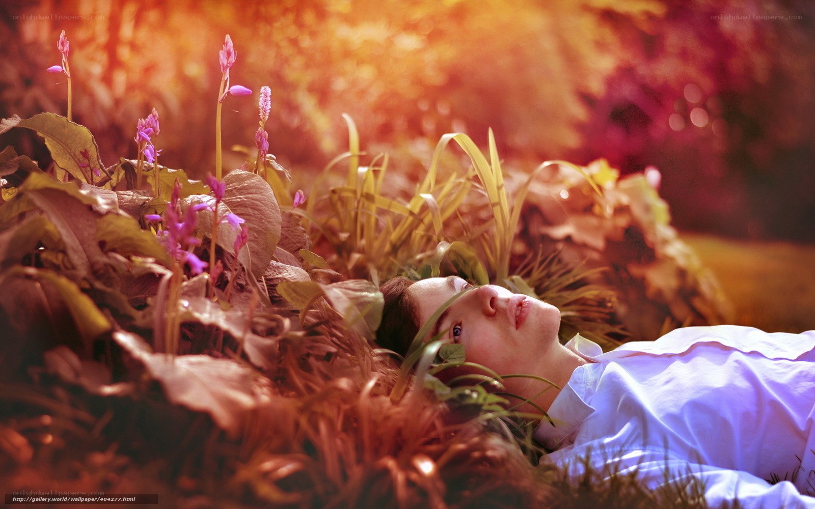 person lying in autumn grass