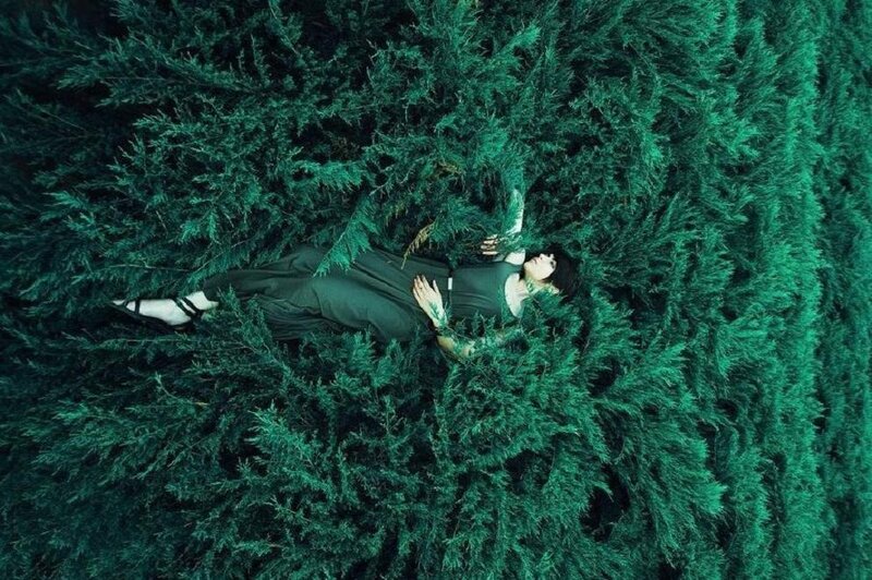 Person Lying in Bushes