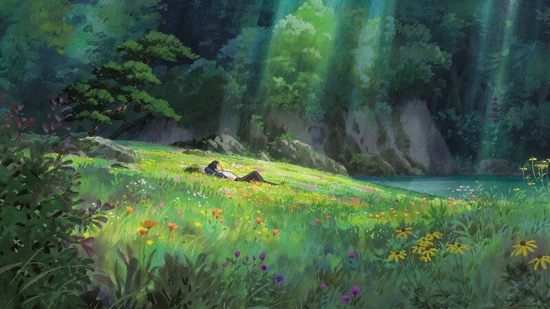 Person Lying in Field — Green