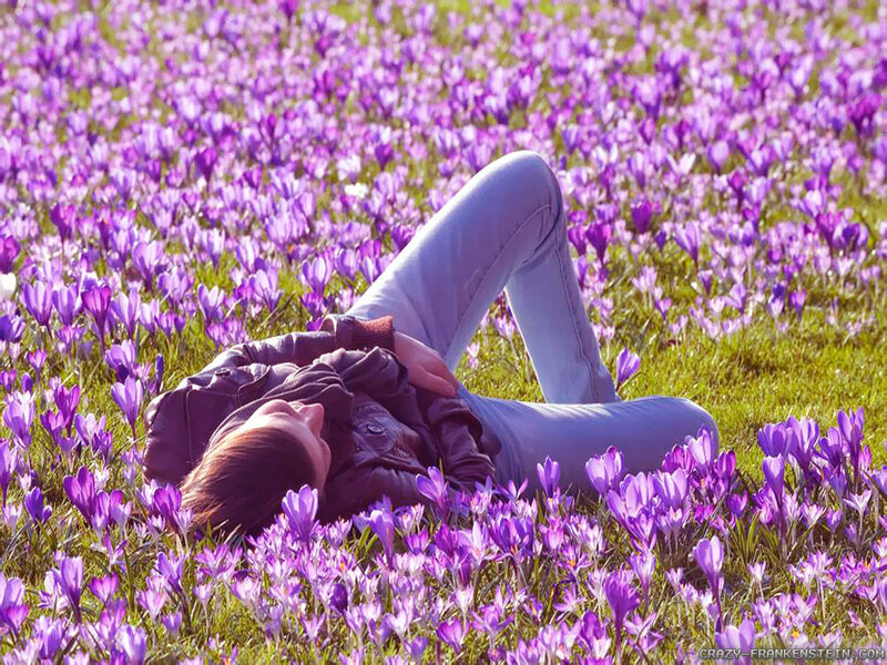 Person Lying in Flowers