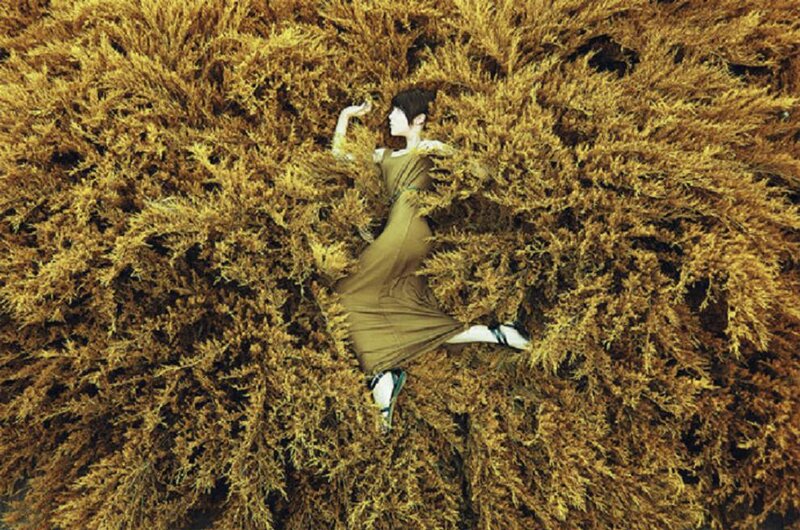 Person Lying in Foliage