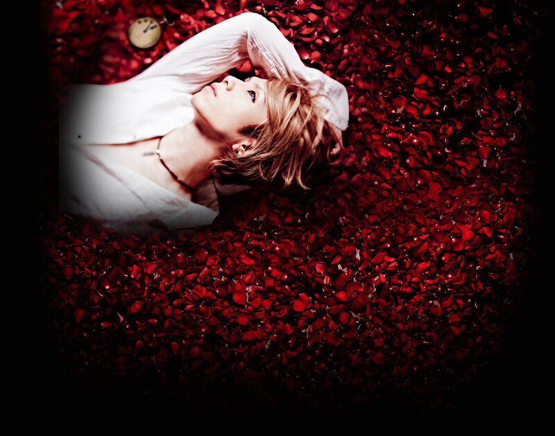 Person Lying in Rose Petals