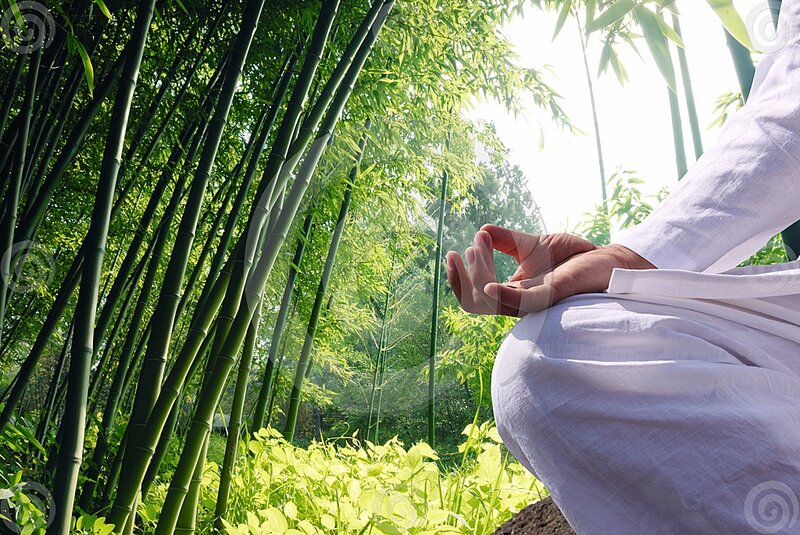 Person Meditating in Bamboo