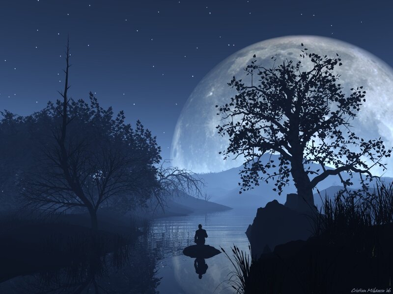 Person Meditating on Lake