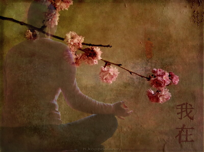 Person Meditating with Cherry Blossoms