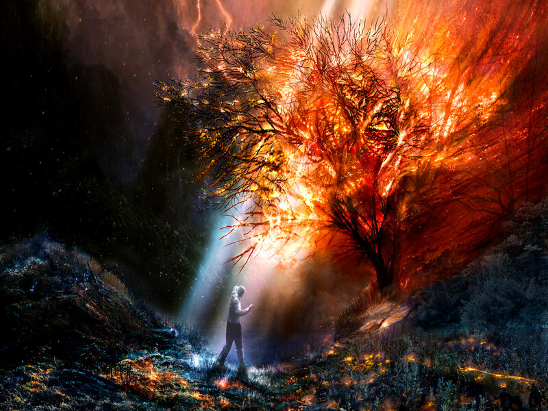 Person near a burning tree